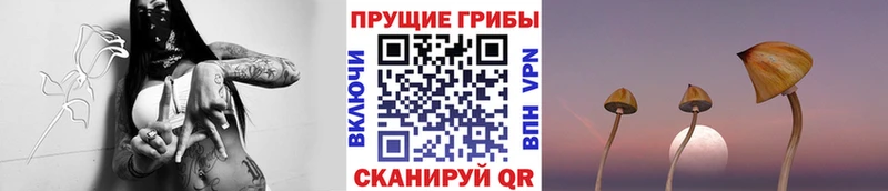 Псилоцибиновые грибы мухоморы  Губаха 