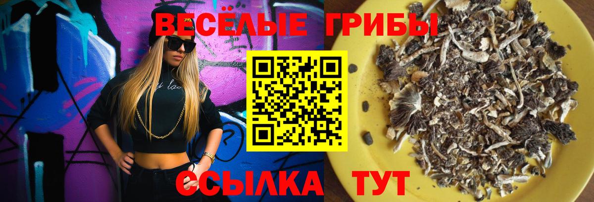 Галлюциногенные грибы Psilocybine cubensis  Вход с VPN  Галлюциногенные грибы мухоморы  Губаха 